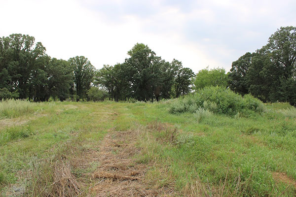 The former site of Fort Mr. Grant on the Souris River