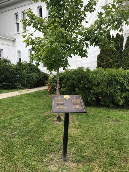 Commemorative plaque and maple tree for the Selkirk Bicentenary