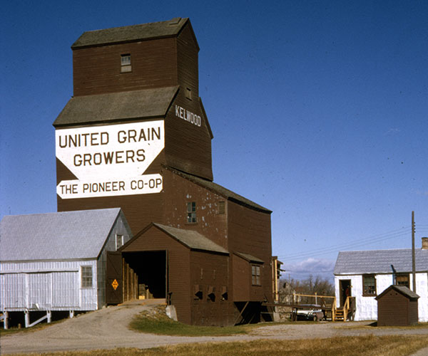 The United Grain Growers grain elevator at Kelwood