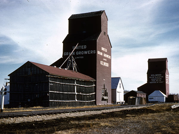 The United Grain Growers grain elevator and balloon annex at Kelwood