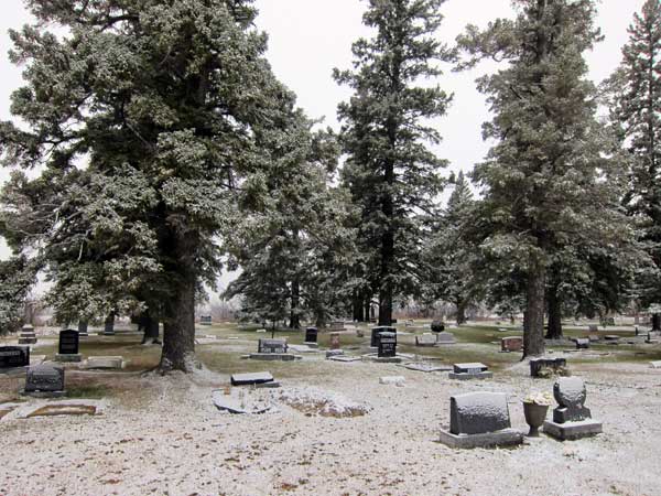 Meadowlea Cemetery