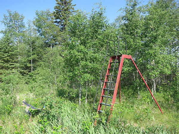 Abandoned playground equipment at former Moose Bay School site