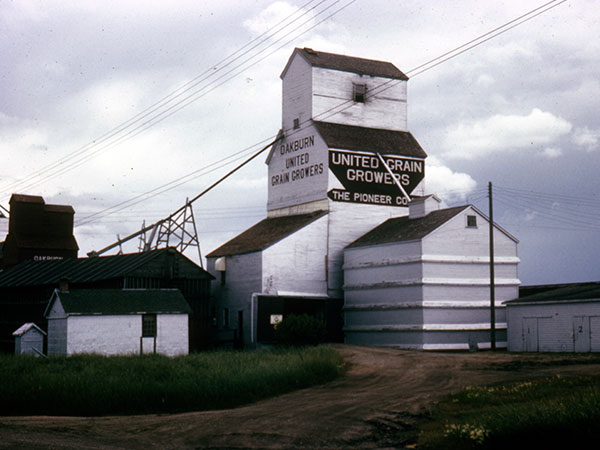 United Grain Growers grain elevator at Oakburn, with the Manitoba Pool elevator in the background left