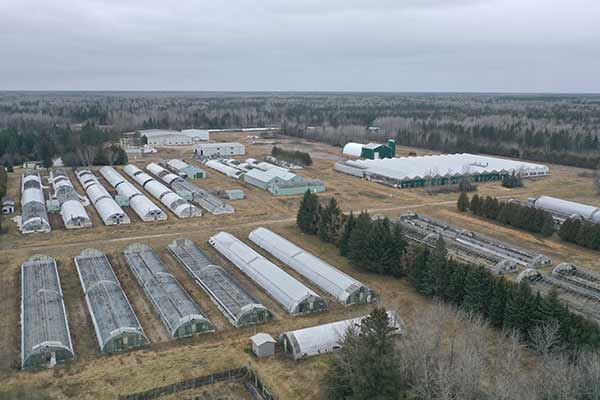 Aerial view of the former Pineland Tree Nursery