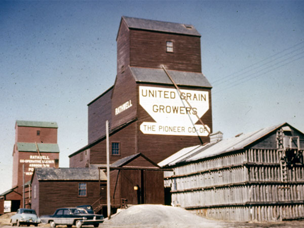 The United Grain Growers grain elevator with its balloon and crib annexes at Rathwell, with Manitoba Pool at left