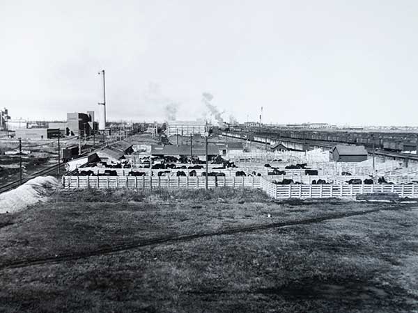 View of the Union Stockyards from Swift Canadian Co. Ltd. plant